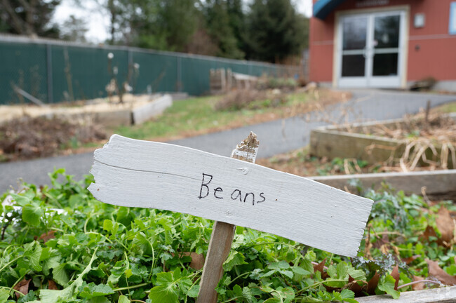 Let your kids get a green thumb at Old Colony Montessori School in Hingham.