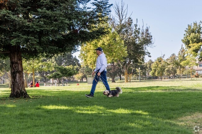 It's common to see people walking their dogs in the safe and protected streets of Hidden Valley Lake.
