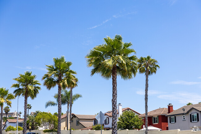 Palm trees line the streets of Sunbowl, Chula Vista.