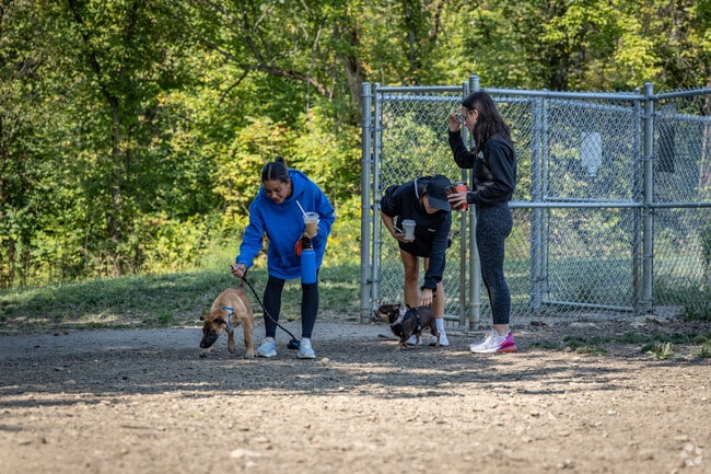 Friends meet for a dog play date at Fairview Park in South Fayette.