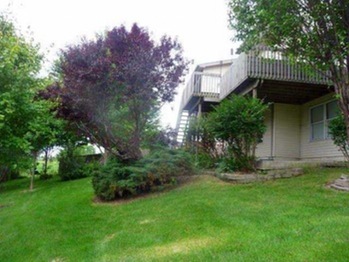 Back yard