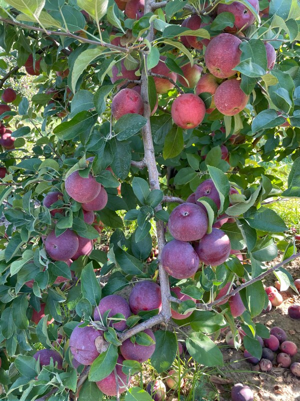 7 Smith St, San Francisco, CA 94102 - photo 1