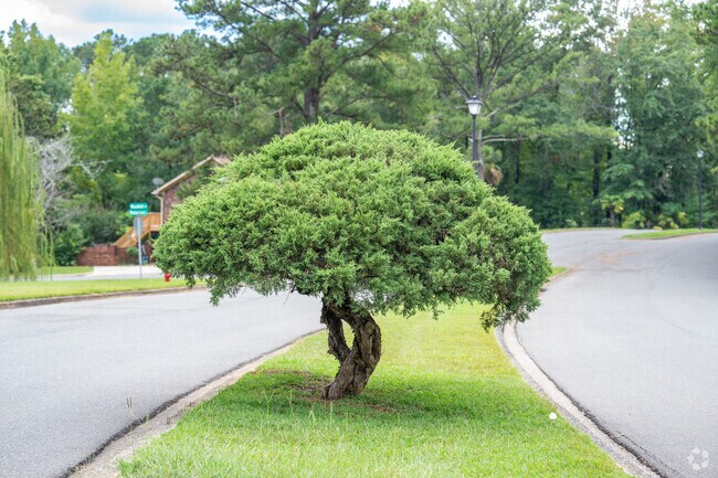 Enjoy the local landscaping of Woodland Forrest.