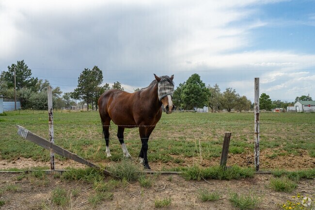 Aristocrat Ranchettes is a community with equestrian roots.