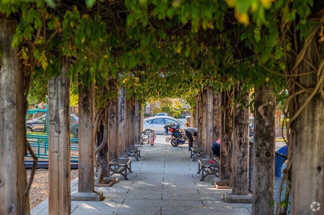 Stroll through Stafford Park's garden tunnel, a hidden gem in Redwood City.