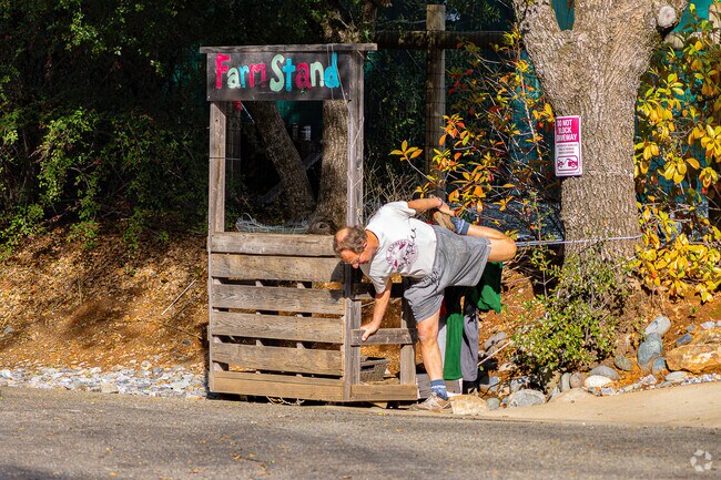 A man stretches after a long hike along Stagecoach Trail in Northeast Auburn.