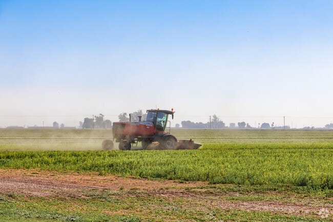 Surrounded by expansive farmland, El Centro stands as a bustling center for both business and community.