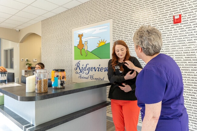 Trust Ridgeview Animal Hospital's compassionate veterinary team with your furry friends' care.