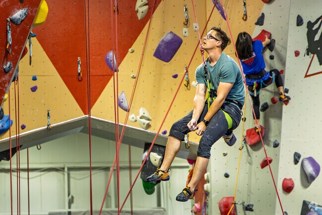 Mike from Douglas Byrd plans his next attempt at the rock climbing wall at Triangle Rock Club.