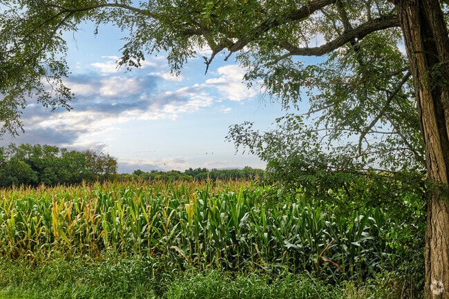 Sweeping vistas of farmland and fields are part of Webster Township's rustic rural charm.