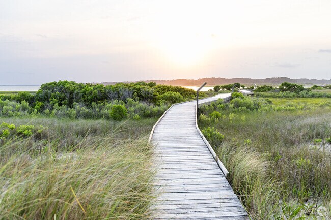 Chincoteague National Wildlife Refuge draws birders from Captains Cove and Greenbackville alike.