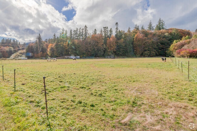 Wide open ranches have horses and cattle grazing on lush grass in Quilcene WA.