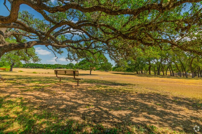 Benches in Vestal Park make use of the park's shade trees.