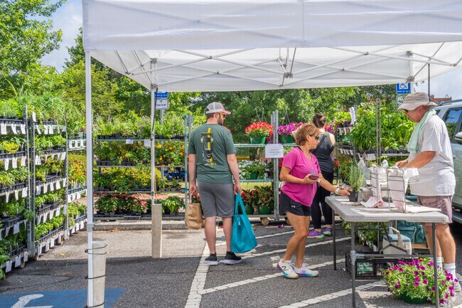 Residents can shop fresh produce and a variety of other products at the Canton Farmers Market.
