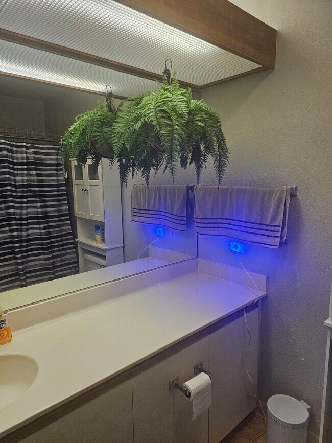 46-051 Konohiki St unit 3733, Kaneohe, HI 96744 - photo 3