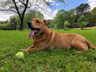 11919 Riverpark, Chesterfield, VA 23838