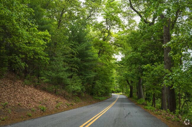 Norfolk’s country roads, lined with lush trees and greenery, offer a scenic escape into New England’s natural beauty.
