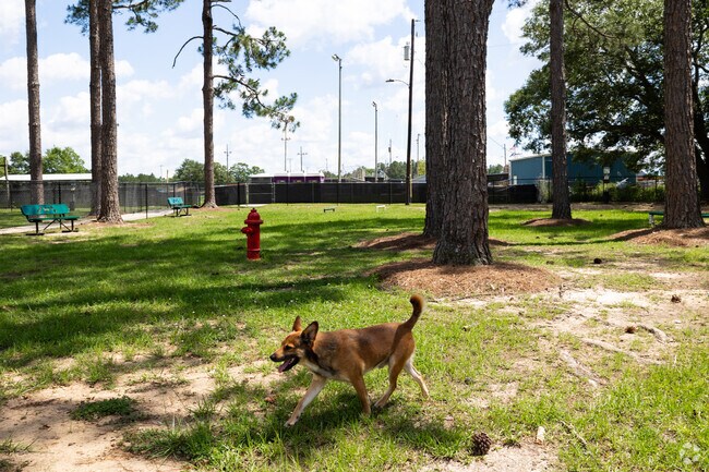 Local pooches look forward to their time at the new K-9 Korner in Viking Park.