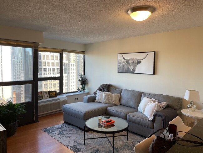 30 E Huron St unit A, Chicago, IL 60611 - photo 7