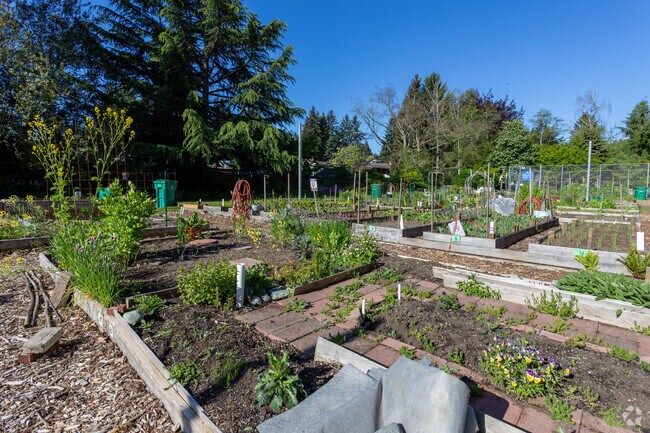 Residents of Shoreline grow a variety of plants and vegetables in Twin Ponds Park.