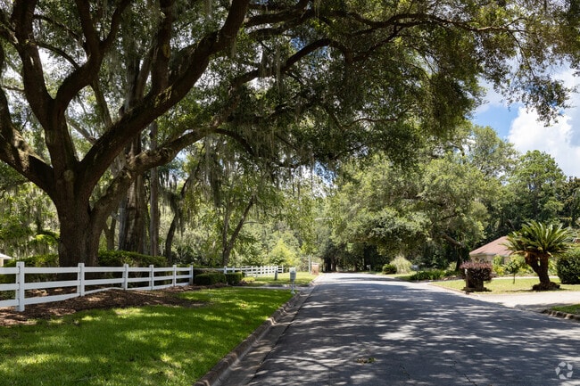 Residential streets throughout Windsor Forest are shaded by large oak trees.