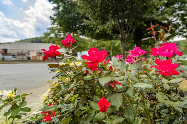 Fairywood has the color and character of a great community.