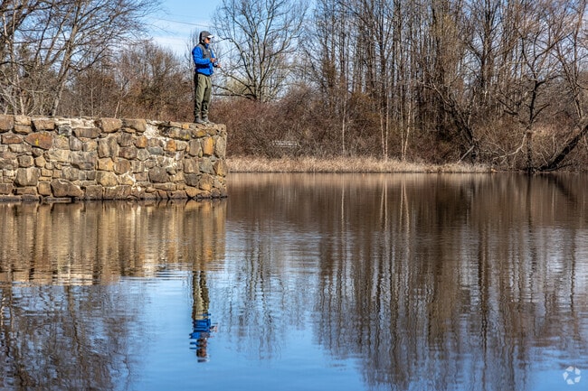 Davidson’s Mill Pond Park is a peaceful retreat for nature walks, fishing, and kayaking.