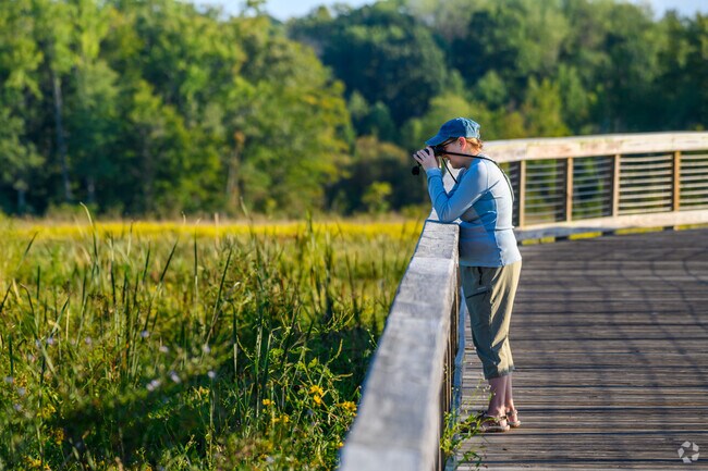 Avid bird watchers love to watch the wildlife at Neabsco Creek Boardwalk in Rippon Landing.