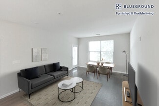 160 Boylston St Unit FL1-ID4615A, Newton, MA 02467