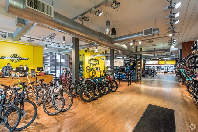 Freewheel Bike Shop sells Trek bikes, Surly, Salsa, All-City Electra and other bikes.