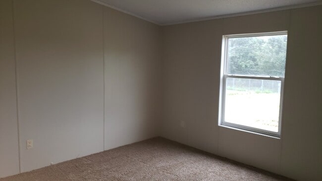 1124 Eulalia Ln, Catawba, NC 28609 - photo 3