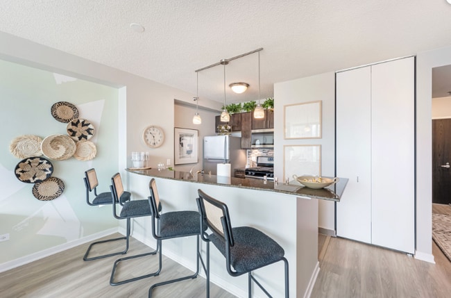 339 E Ohio St, Chicago, IL 60611 - photo 3