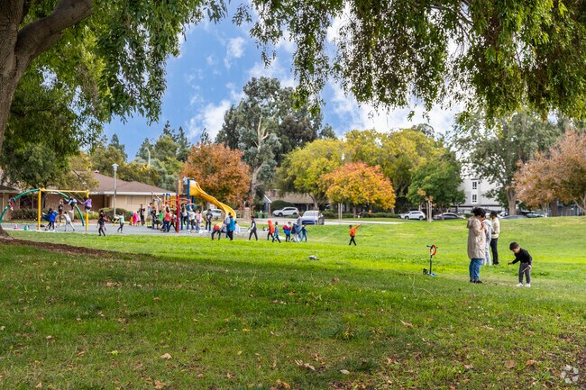Centerville Community Park has a large green space for playing.