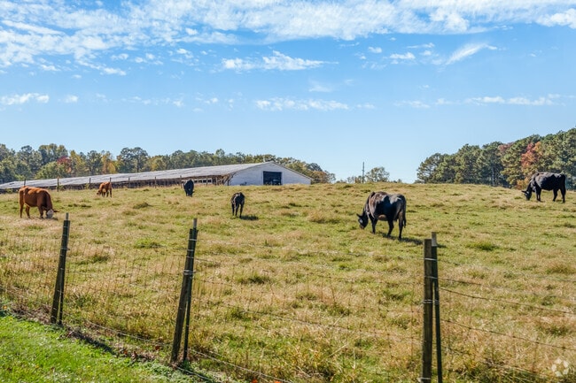 As a rural community, Winston has strong ties to the land with an abundance of farm businesses.