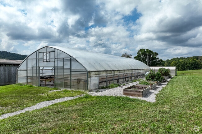 Tater Valley Nursery in Luttrell sells geraniums, hanging baskets, and various vegetable plants.