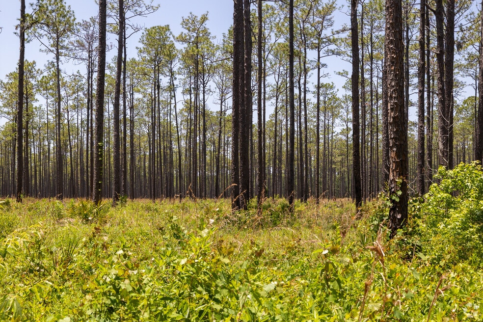 Olustee_548300_AB_060925_FINAL