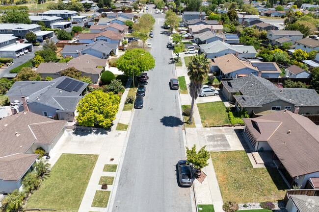 A quiet residential street with well-kept ranch homes in the Morrill neighborhood.