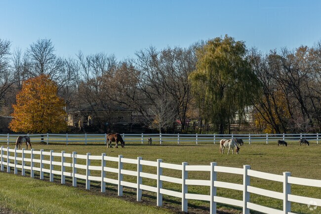 Heading out of town you can see horses grazing in the fields near Stocker.