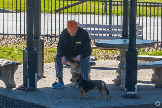 Cato Dog Park offers a spacious and welcoming environment for dogs to play and socialize.