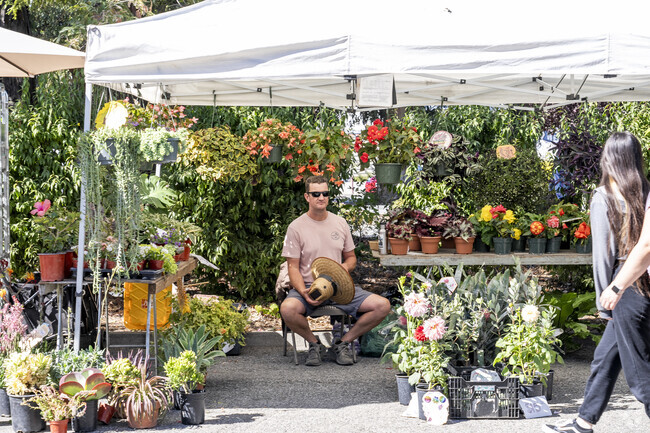The Saratoga Farmers' Market offer fresh flowers, food, and organic vegetables.