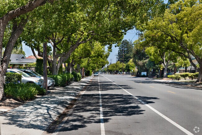 Mature trees line both sides of Meadow Drive, offering a picturesque view.