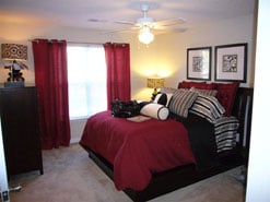 Palmera Apartments, Columbia, SC 29229 - photo 4