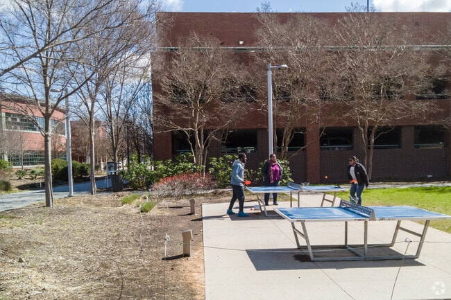 Students at the local university enjoy outdoor activities in Cumberland.