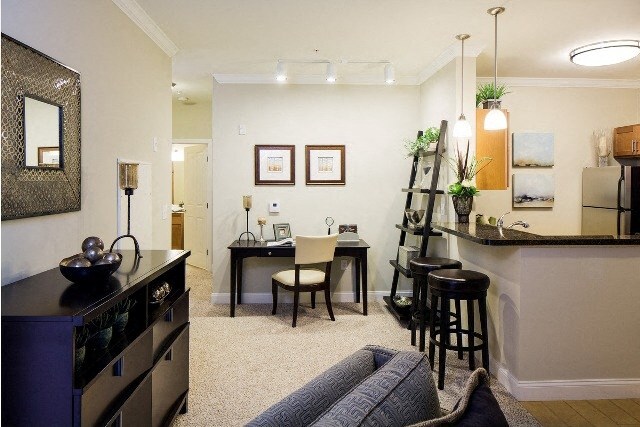 Our Phase I Apartments Living Room and Breakfast Bar