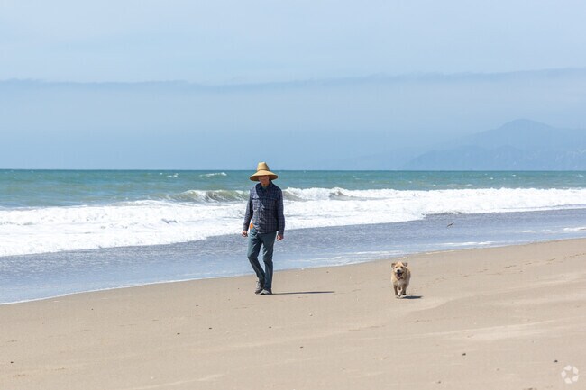 Locals often walk their dogs at Oxnard Beach near Hobson Park East.