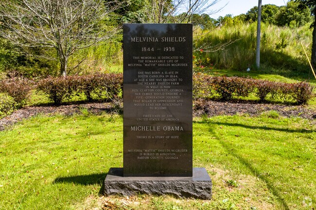 A monument of First Lady Michelle Obama’s ancestry from slavery to The White House.