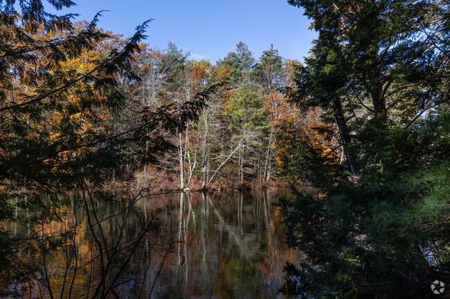 Dundee Park is a scenic and pristine area located along the Presumpscot River near Windham.