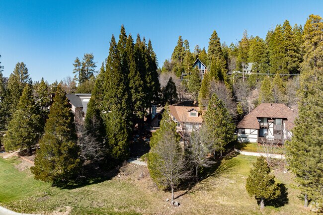 Most rows of homes throughout the Lake Arrowhead neighborhood are surrounded by large trees.