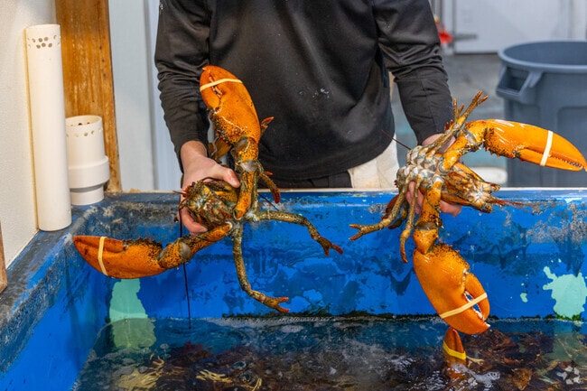 Proud staff catch fresh seafood daily at Captain's Catch near Geneva.