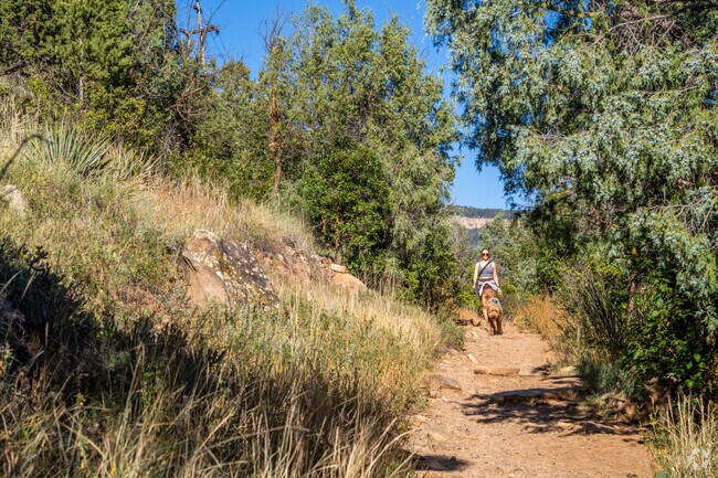 You can enjoy a walk with your furry friend at Animas Mountain East Trailhead.